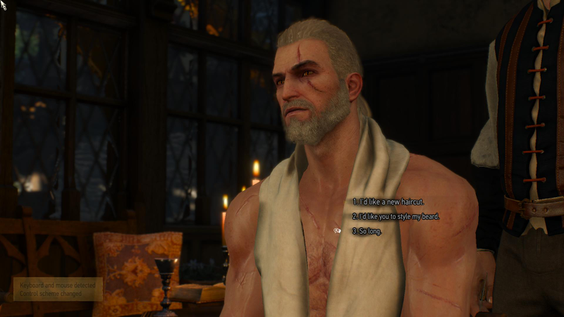 Illustration for article titled The Witcher 3’s Free DLC So Far: Monsters, Beards, And A Pretty Dress